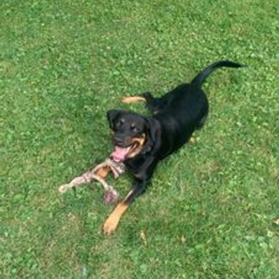 Profile Picture of Bryan Holcomb (@03daede3c17544a) on Twitter