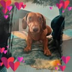 Profile Picture of Robert Sandlaß (@Robert-Sandlaß) on Facebook