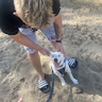 Profile Picture of Tyler Minton (@tyler-minton-15) on Quora