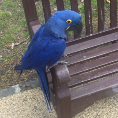 Profile Picture of Liban Mohamed Hassan (@helley89) on Twitter