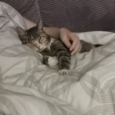 Profile Picture of Steve Orchard (@SteveOrchard13) on Twitter