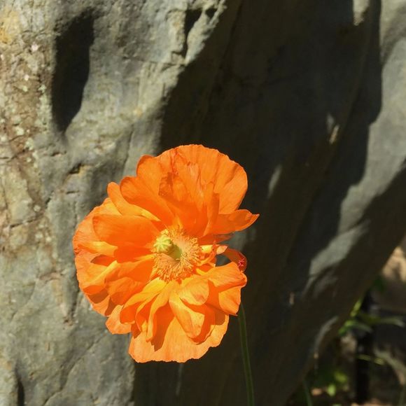 Profile Picture of David Dalsky (@djdalsky) on Poshmark