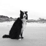 Profile Picture of Mark Wilkinson (@oneoldduffer) on Instagram