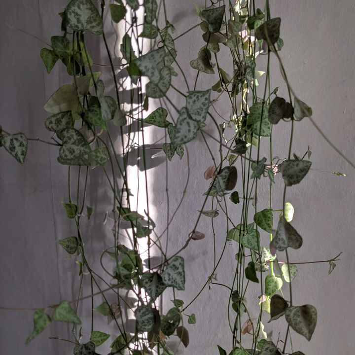 Profile Picture of _johnbres (@@_johnbres) on Tiktok