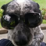 Profile Picture of Terry Weaver (@terry.weaver.9421) on Facebook