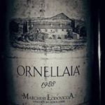 Profile Picture of viva la vida 🍷🍾 (@martinlindner_gc) on Instagram