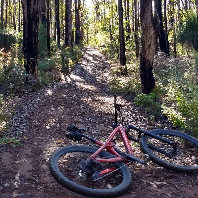 Profile Picture of Sam Burrow (@SamBurrow101) on Twitter