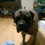 Travis Tenney - Facebook Profile Picture of Travis Tenney (@travis.tenney.75) on Facebook