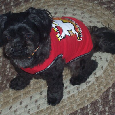 Profile Picture of Pat Bland (@TriciaBland) on Twitter