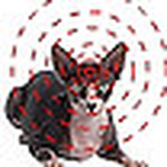 Profile Picture of Sebastian Silva (@sebastiansilva44) on Flickr