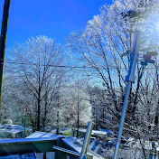 Isabel Alcaraz - Youtube Profile Picture of Isabel Alcaraz (@isabelalcaraz3734) on Youtube