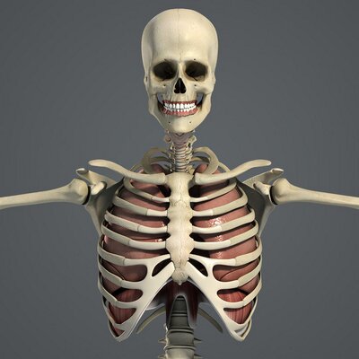 Profile Picture of Jon Matte (@jmt1500) on Twitter