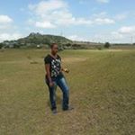 Gina Kish - Instagram Profile Picture of Gina Kish (@kishgina) on Instagram