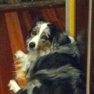 Profile Picture of Brett Wendel (@wendelbpublic) on Twitter