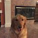 Profile Picture of Carly Keating (@carlyk2007) on Pinterest