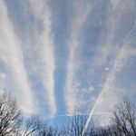 Profile Picture of Zachary Erb (@pinealg0d) on Instagram