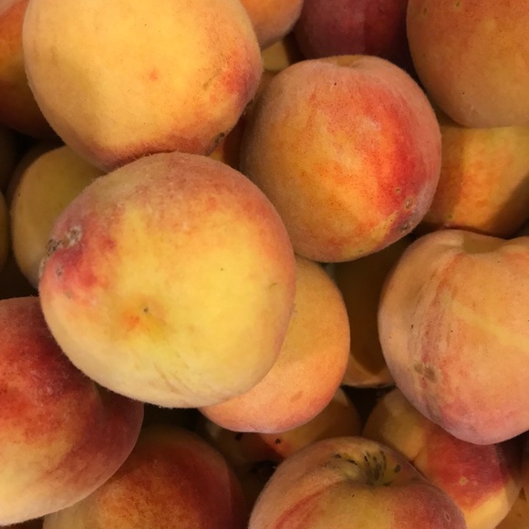 Profile Picture of Hannah Romick (@hfr604) on Poshmark