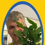 Profile Picture of Michael Schubert (@schubert8289) on Instagram