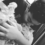 Ibrahim shariff - Instagram Profile Picture of Ibrahim shariff (@ibu__official1) on Instagram