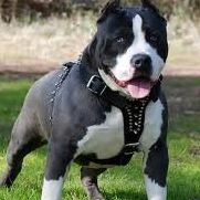 Profile Picture of Ivan Espinola (@ivan.espinola.37) on Facebook