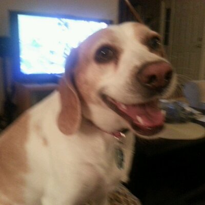 Profile Picture of Debbie Crump Groce (@Outrbanx20) on Twitter