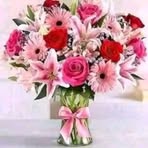 Profile Picture of Diana Dee (@Diana-Dee) on Facebook