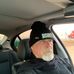 Profile Picture of David Apling (@david.apling.5) on Facebook
