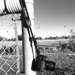 Profile Picture of Joseph Cicciarella (@j_m_c_photography_) on Instagram