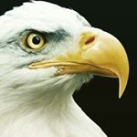 Profile Picture of Christian David Pierce (@christiandavidpierce) on Instagram