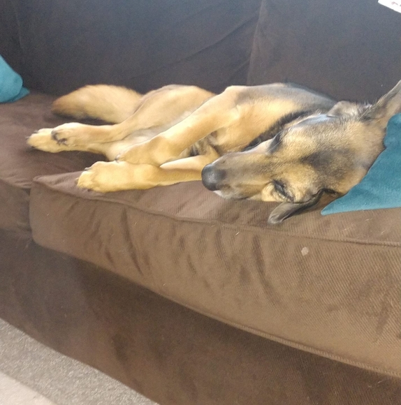 Profile Picture of Christopher Casper (@hawk89001) on Poshmark