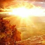 Profile Picture of nguyen_t (@nguyen_t) on Instagram