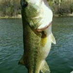 Profile Picture of Chandler Watson (@chandler6001) on Instagram