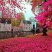 Profile Picture of Huda Mahmood (@huda.mahmood.1650) on Facebook