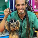 Profile Picture of Peter Silva Groomer (@petersilvagroomer) on Instagram