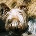 Profile Picture of Maurice Parkin (@maurice.parkin.7) on Facebook