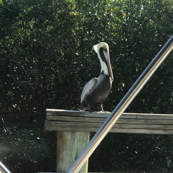 Profile Picture of Joe Cushing (@jcush40) on Poshmark