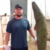 Matt Sellers - Quora Profile Picture of Matt Sellers (@matt-sellers-17) on Quora