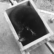 Profile Picture of Chloe Mullins (@chloemullins2250) on Youtube