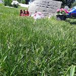 Profile Picture of Ofelia Paz (@ofelia.juarez.161) on Instagram