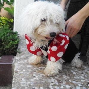 Nicole Freire - Twitter Profile Picture of Nicole Freire (@nicolefreiredo1) on Twitter