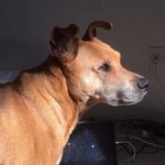 Profile Picture of Gabriel Hussar (@gabriel_hussar) on Instagram