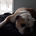 Profile Picture of Tony Giuliani (@tony.giuliani.739) on Facebook