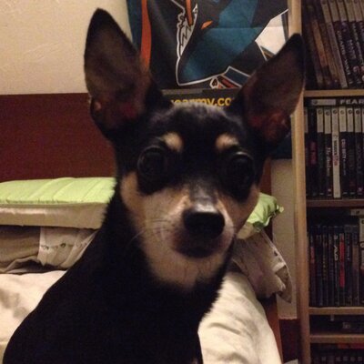 Profile Picture of Christopher Esquivel (@crisquivel) on Twitter