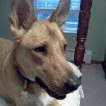 Profile Picture of Bert Davidson (@bertcid95) on Instagram