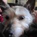 Profile Picture of Trina McConnell Underhill (@trina.underhill) on Facebook
