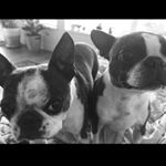 Profile Picture of Peter Anton (@pietervancity) on Instagram