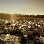 Profile Picture of James Turbett (@jamest2020) on Instagram