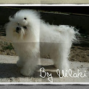 Profile Picture of Lese și Zgarzi Câini JP (@lesesizgarzicainijp9597) on Youtube