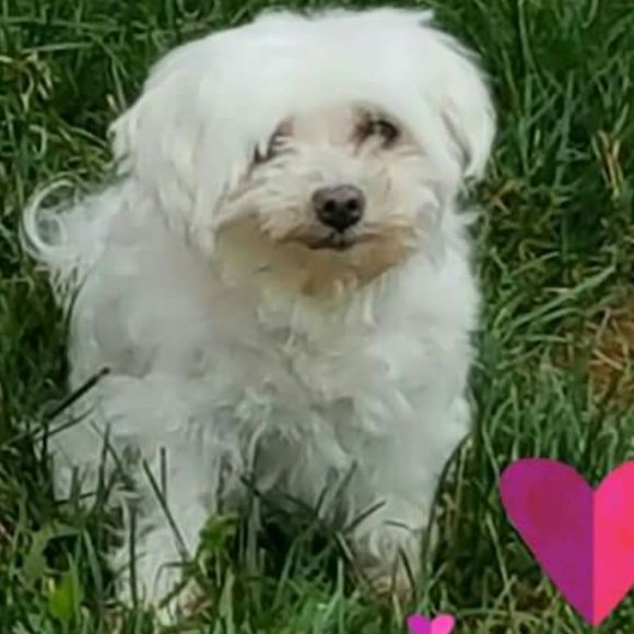 Profile Picture of Julie Braet (@junnamae) on Poshmark