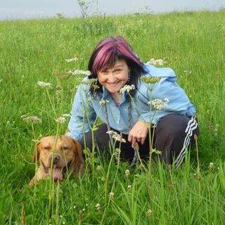 Marry Gerbera - Facebook Profile Picture of Marry Gerbera (@marry.gerbera) on Facebook